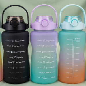 ML0161 Botella Plástica 2L